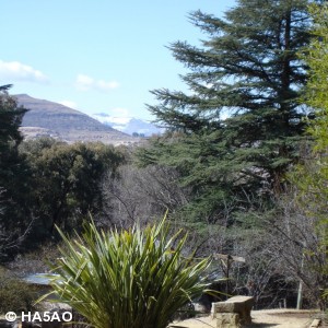 qth 18 20090821 1259942405