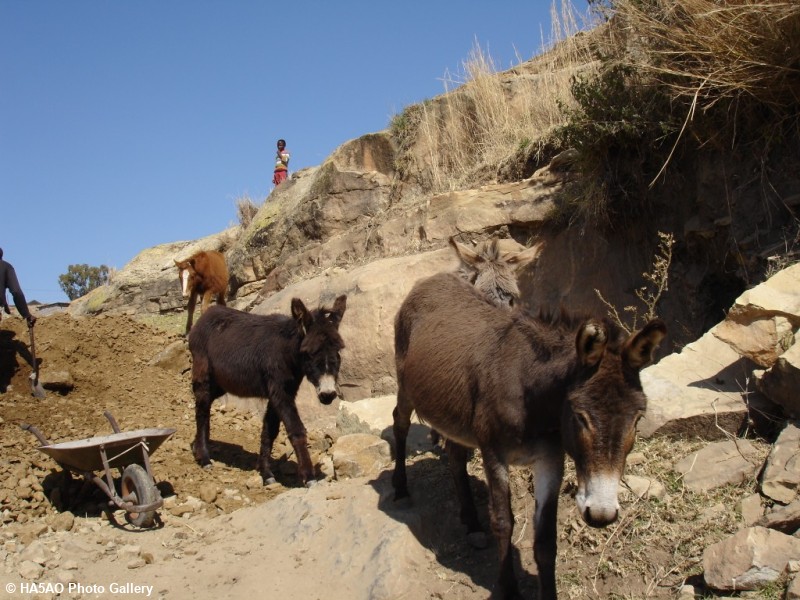 roma valley lesotho 4 20090821 1823839331