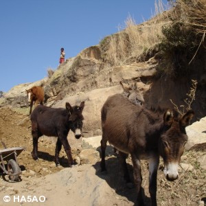 roma valley lesotho 4 20090821 1823839331