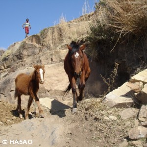 roma valley lesotho 5 20090821 1336506108