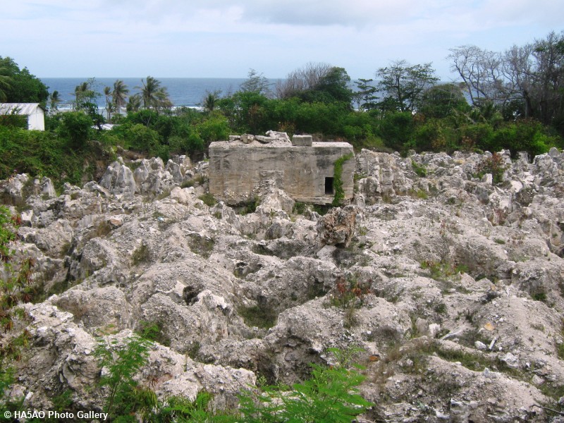 nauru 421
