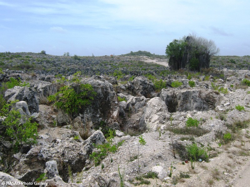 nauru 430