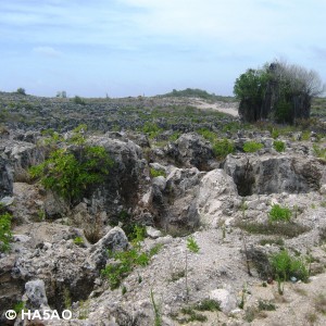 nauru 430