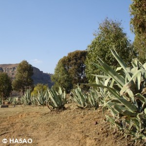 roma valley lesotho 27 20090821 1384272491