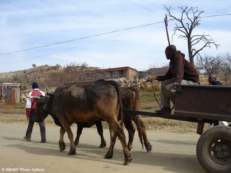 village and villagers 6 20090821 1495012821