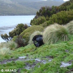 zl9hr 17 20121228 1065774968