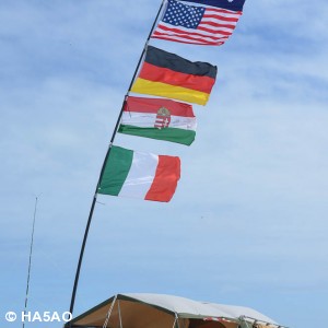 Flags