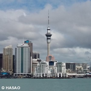 Auckland from the Marina