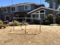 IMG 0971
