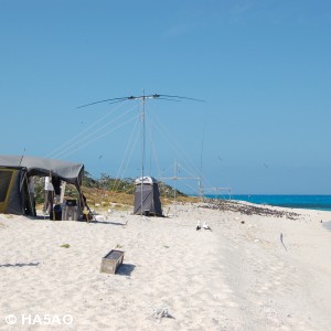 CW tent and Steppir at TX3X