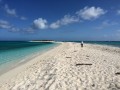 K6TD our antenna guru surveying the island