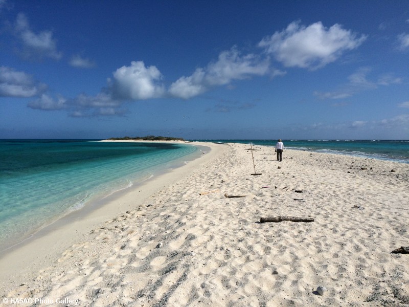 K6TD our antenna guru surveying the island