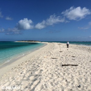 K6TD our antenna guru surveying the island