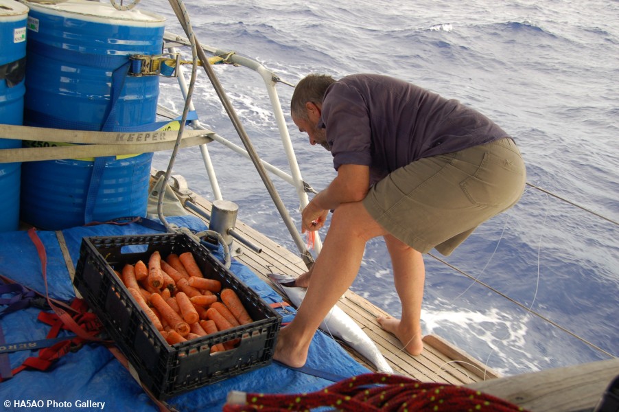 Ray removing the hook from a Baracudda he just caught to toss him back