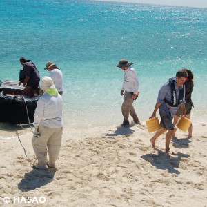 Steve unloads rope on Chesterfield island