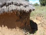 The old hut in March 2010. Desperately demaged by heavy rains.