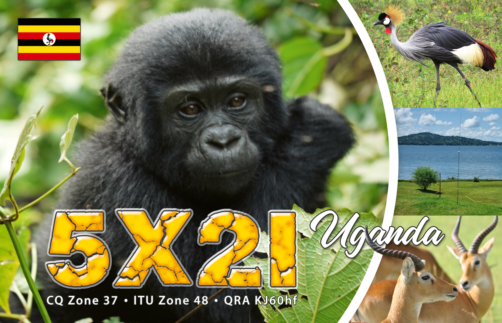QSL-5X2I---300-gr---glans-laminaat